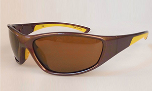 Polarized eyewear