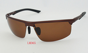 Men sunglasses