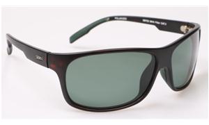 Leisure sunglasses